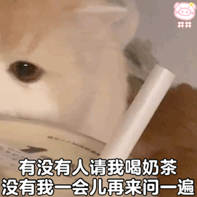 给我钱喝奶茶表情包