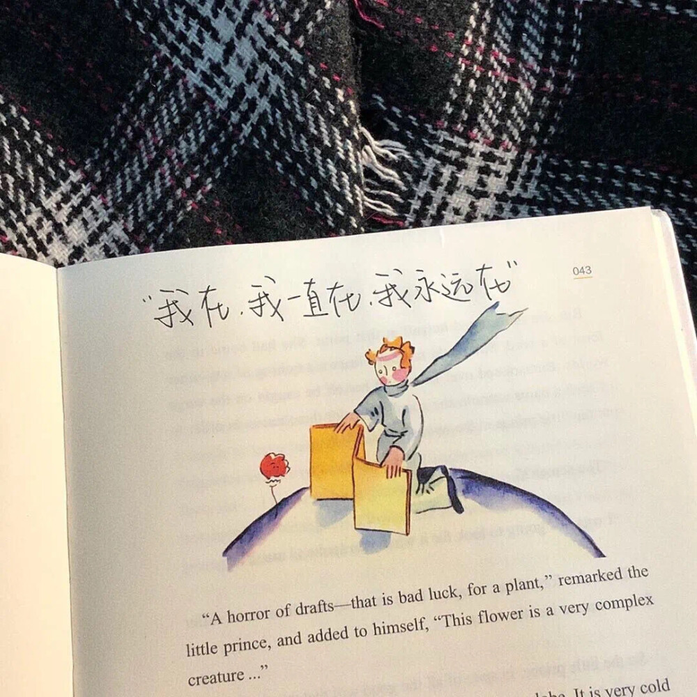 朋友圈背景图小王子文字