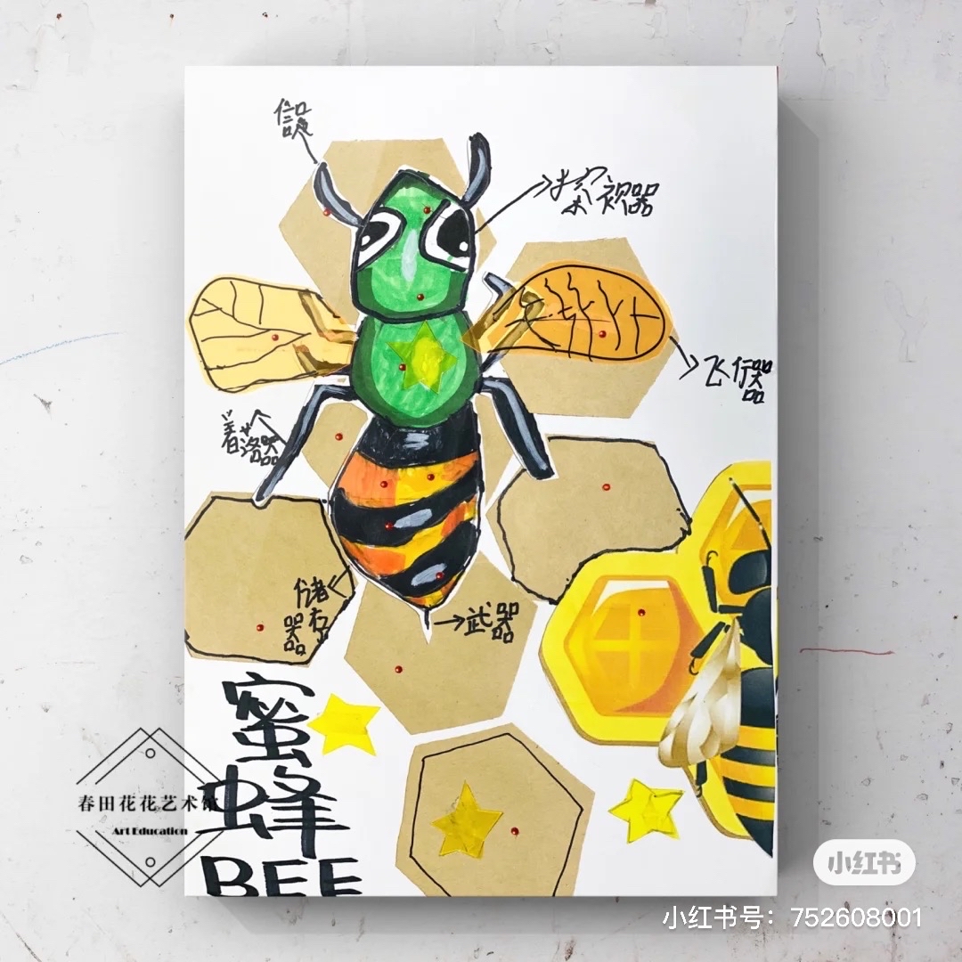 收集蜂蜜图片大全-收集蜂蜜高清图片下载-觅知网