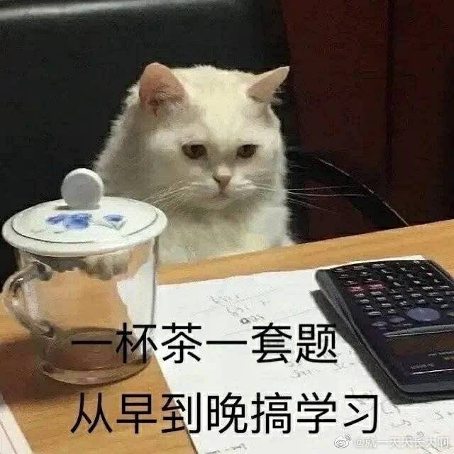 学习表情包【一杯茶一套题,从早到晚搞学习】