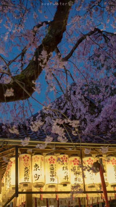 夜景 夜景图片 堆糖 美图壁纸兴趣社区