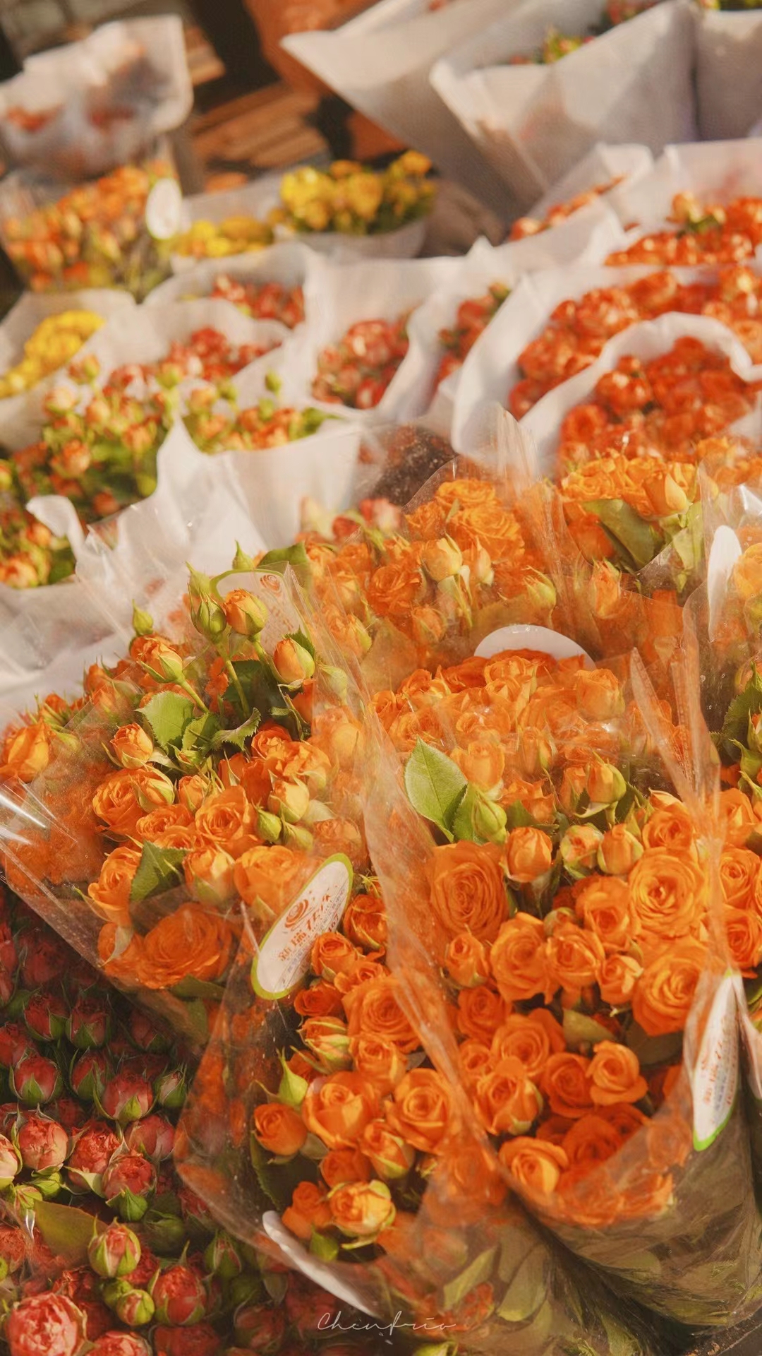 重庆江津特产：玫瑰牌米花糖，甜了一百多年，还是那个味儿！__凤凰网