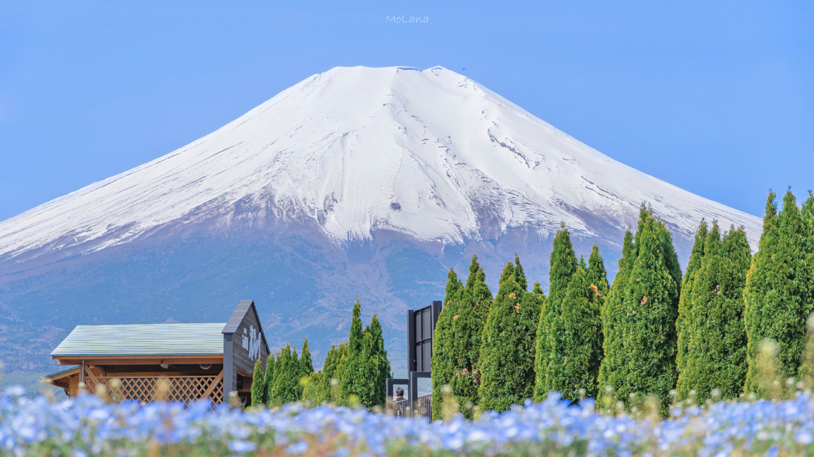 富士山的初夏 - 堆糖,美图壁纸兴趣社区