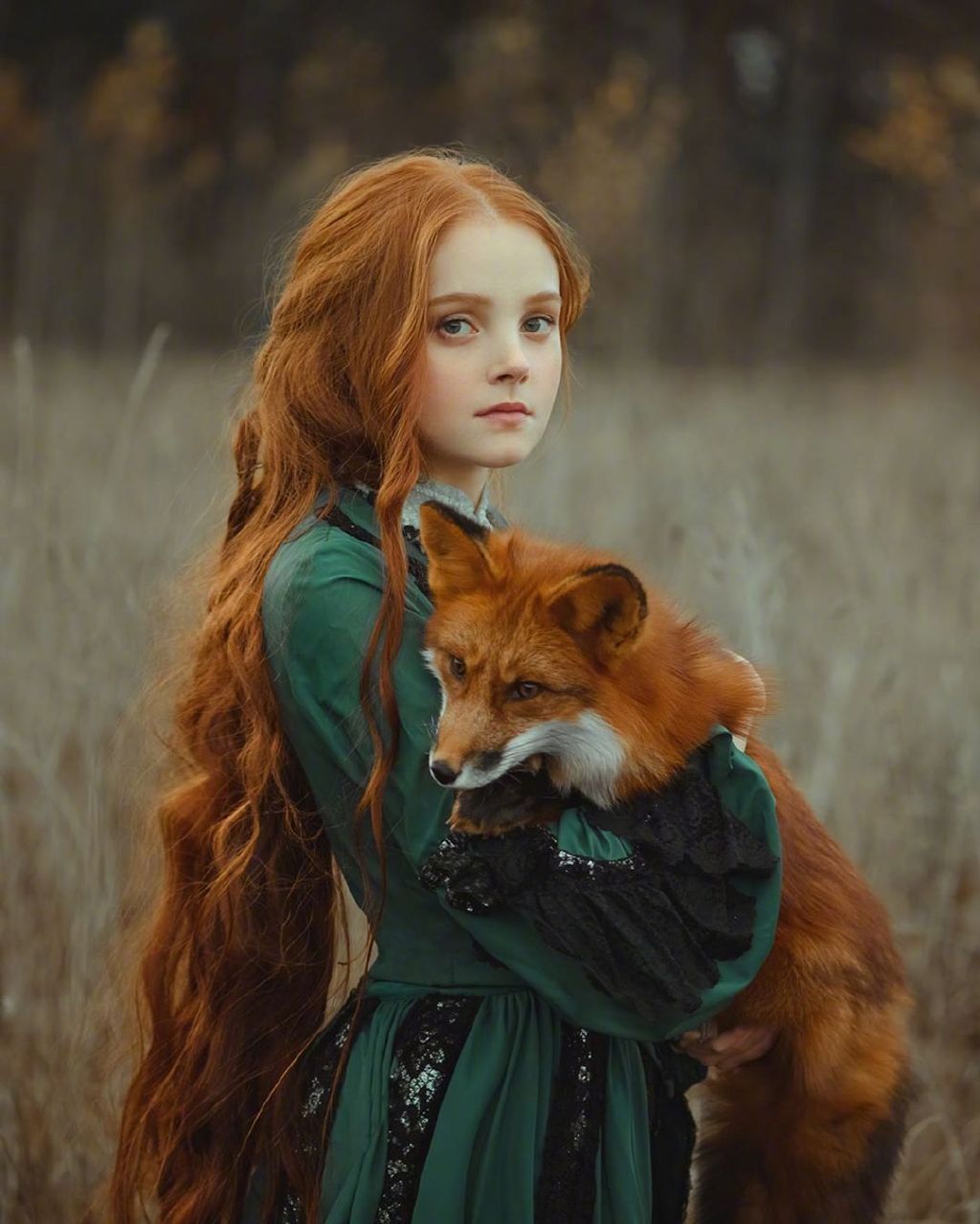 女孩与狐狸