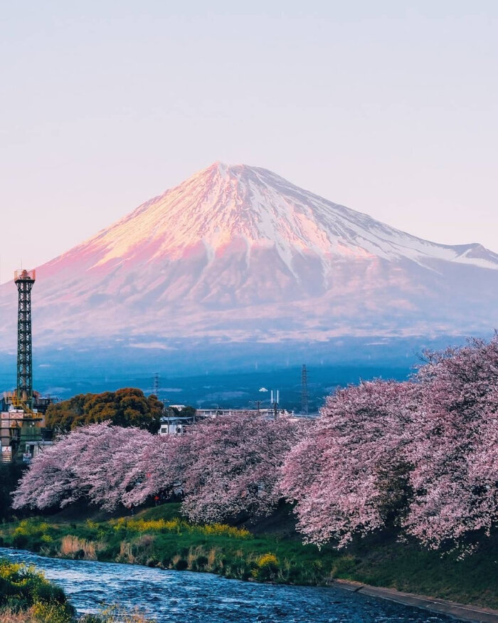 富士山美景 美好 樱花 日落晚霞黄昏 - 堆糖,美图壁纸