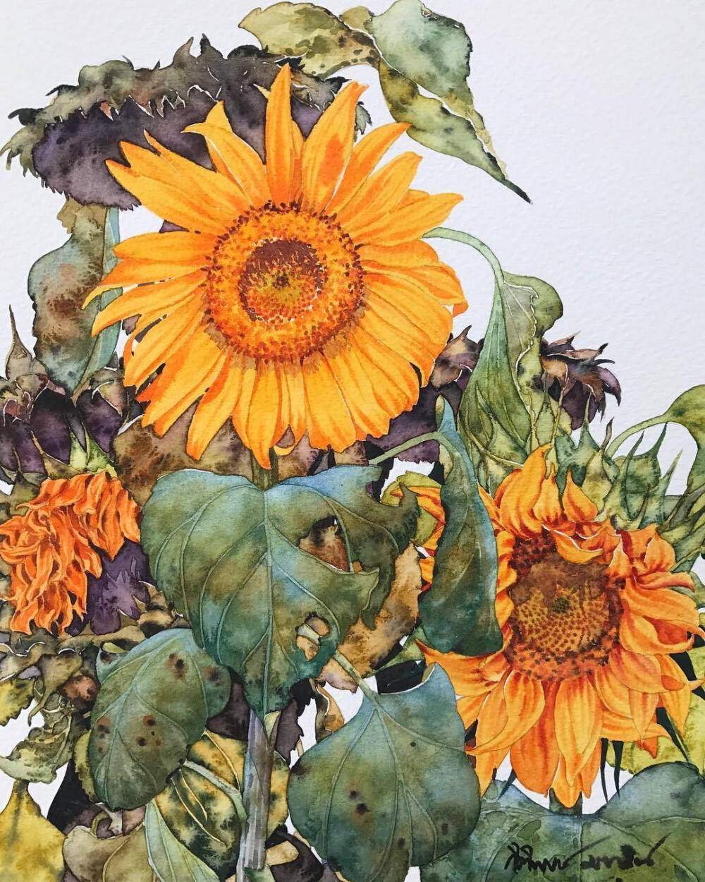 手绘 绘画 夏 向日葵侵删 - 堆糖,美图壁纸兴趣社区