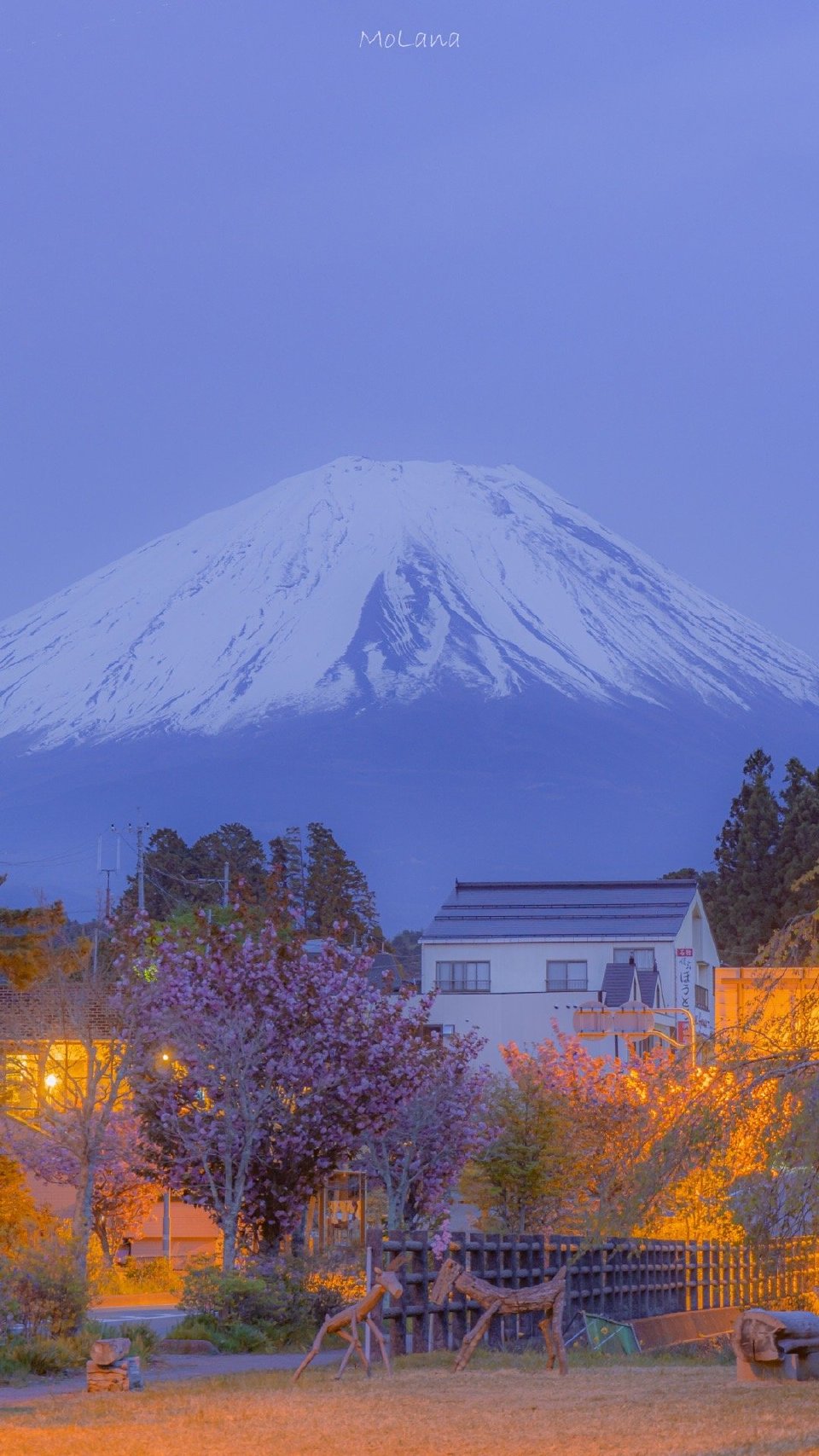 富士山下摄影:@molana
