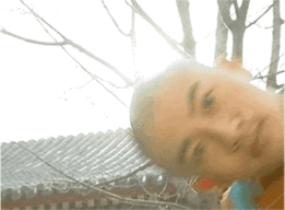 表情包29