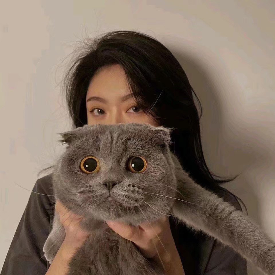 女生头像 抱猫