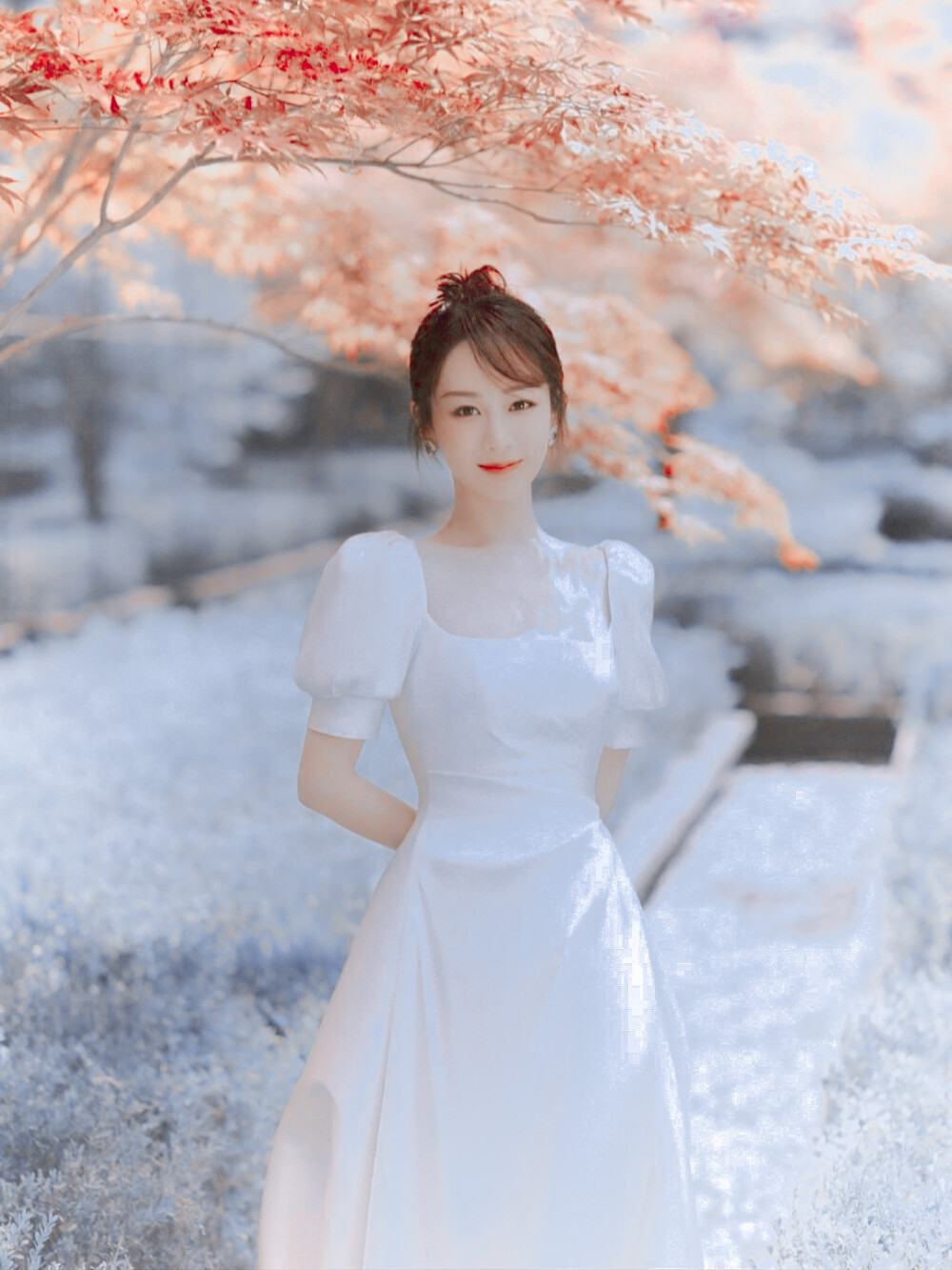 追星不只是花痴尖叫和疯狂还有感动励志和成长杨紫