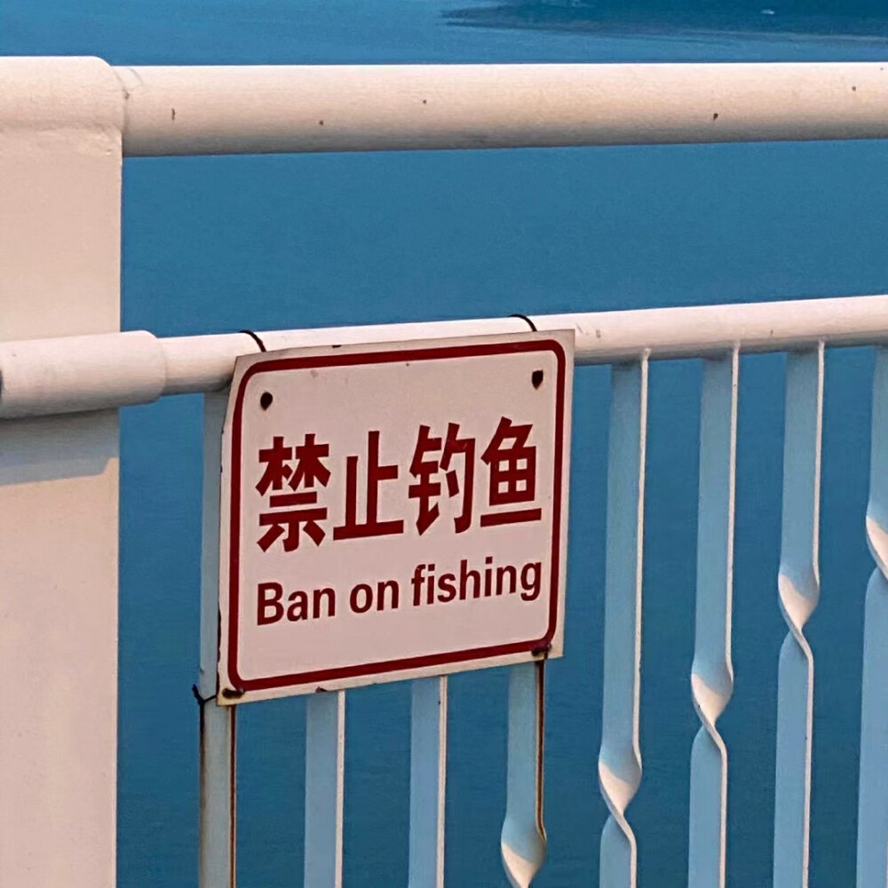 禁止钓鱼