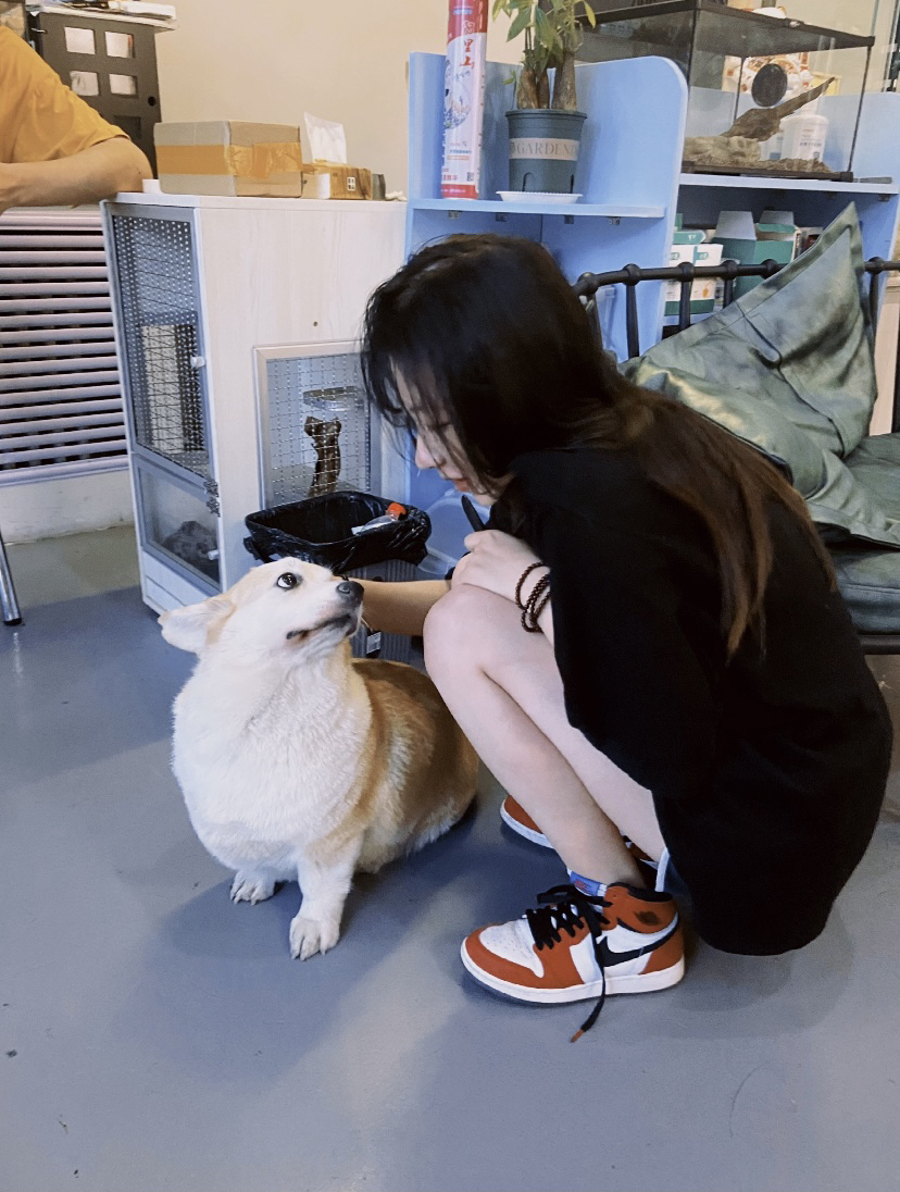 ins风女生头像男朋友不是人系列 - 堆糖,美图壁纸兴趣