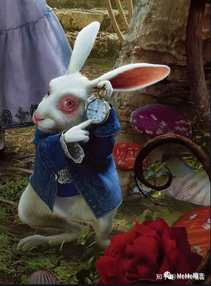 兔子先生 - 堆糖,美图壁纸兴趣社区