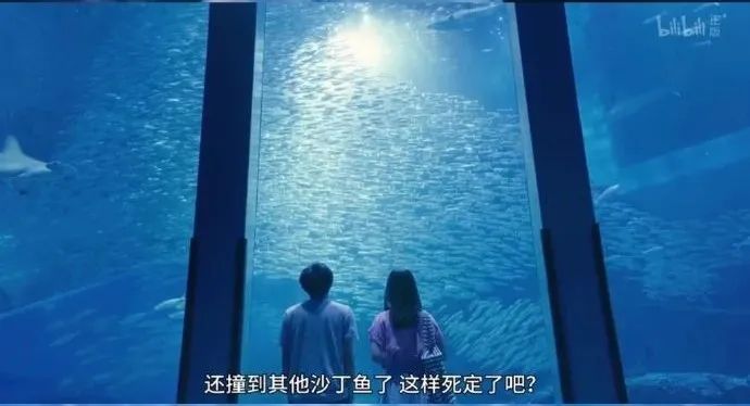 from《流星《流星》中水族馆的工作人员让许多日剧观众迷上了水母