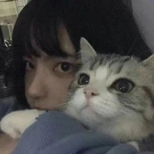 女生头像抱猫