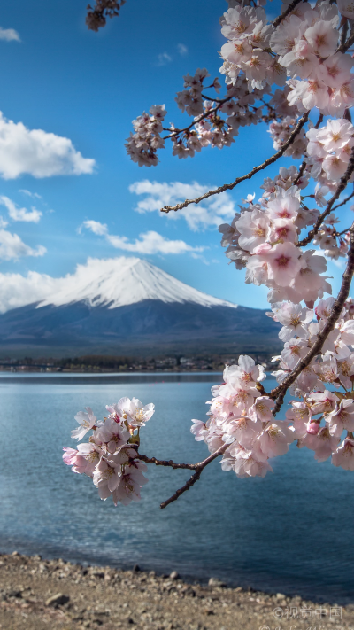 富士山手机壁纸