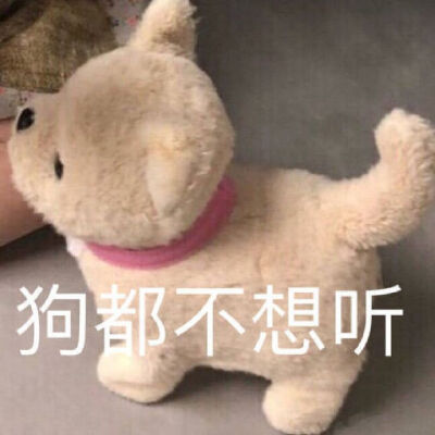 微博 花屋beniiiy 堆糖 美图壁纸兴趣社区 微博 花屋beniiiy 堆糖 美图壁纸兴趣社区