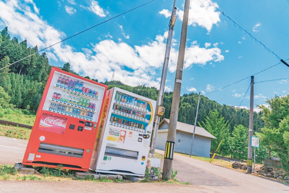 一到夏天日本乡下就成了动画片