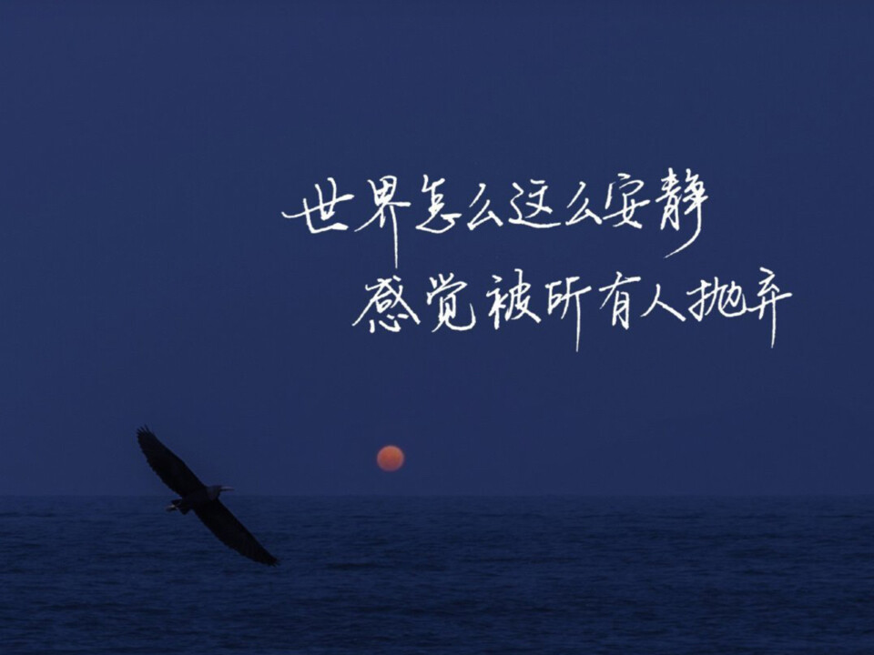 "世界这么安静,感觉被所有人抛弃.