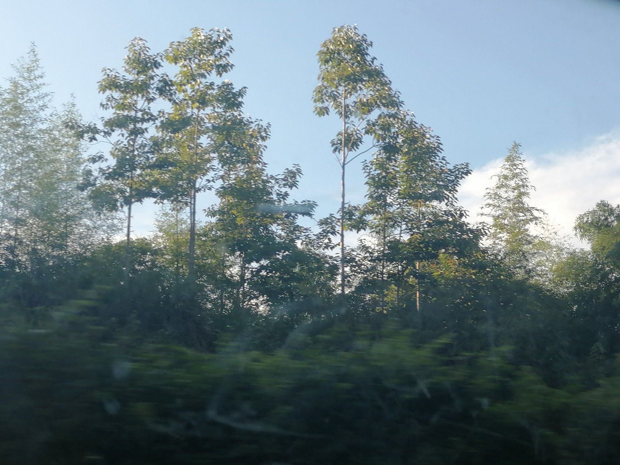 风景 治愈 天空 自拍