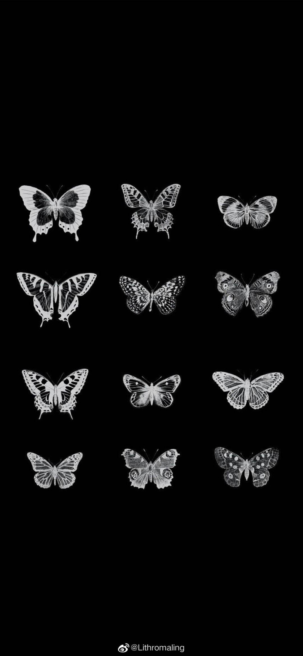 蝴蝶壁纸 - 堆糖，美图壁纸兴趣社区