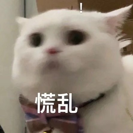 表情包猫慌乱