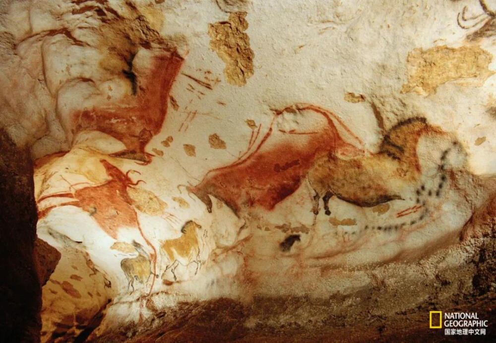 拉斯科洞窟位于法国西南部,里面的壁1000_691