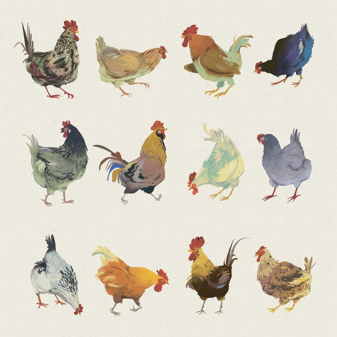 鸡年手机壁纸|插画|插画习作|漫尝 - 原创作品 - 站酷 (ZCOOL)
