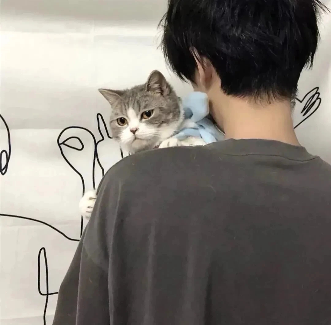 有没有男生抱着猫的头像呀？ - 知乎