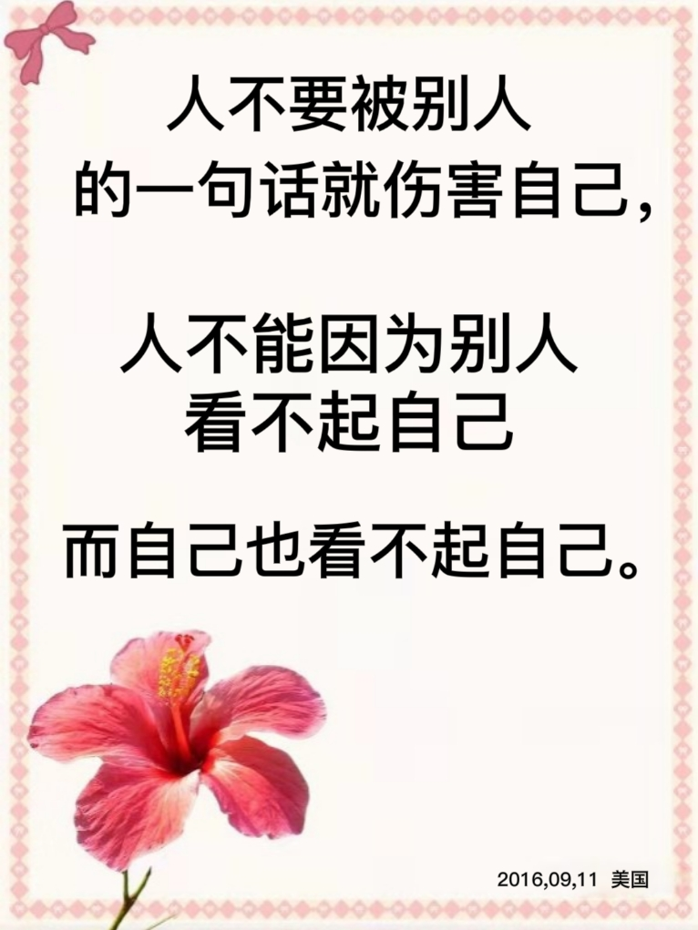 善- 堆糖,美图壁纸兴趣社区