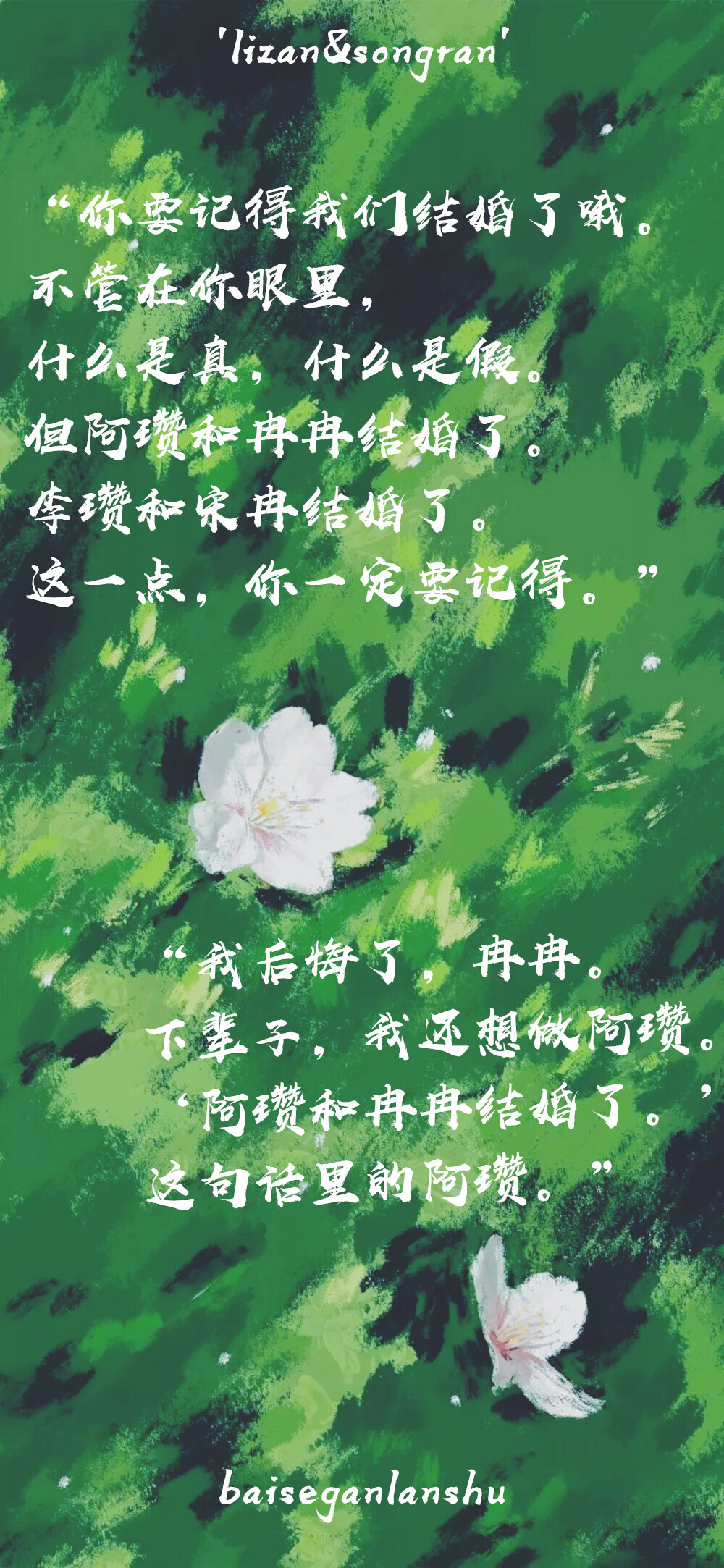 白色橄榄树