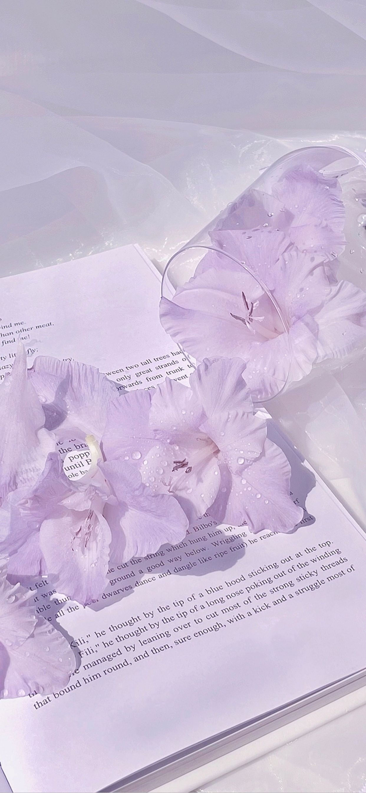高清晰漂亮的紫色薰衣草壁纸