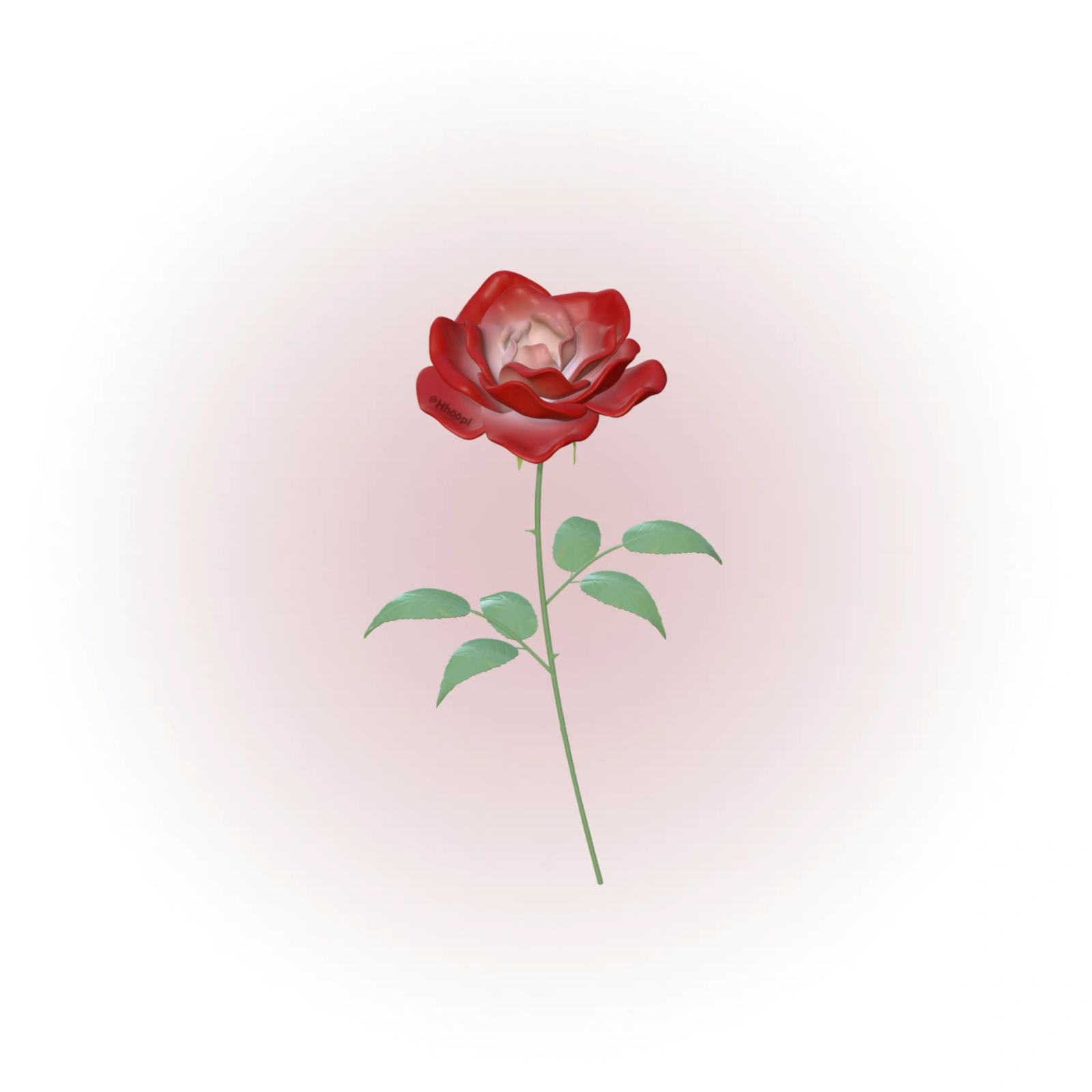 玫瑰花 红玫瑰 背景 头像 壁纸 - 高清图片，堆糖，美图壁纸兴趣社区
