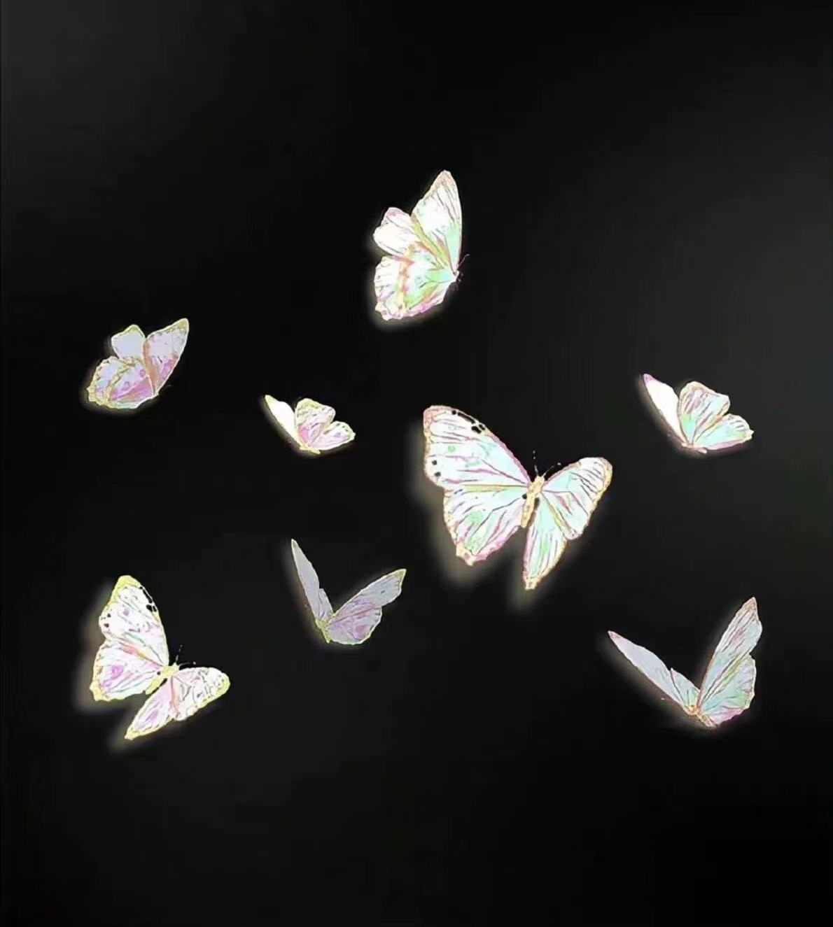 蝴蝶 - 堆糖，美图壁纸兴趣社区