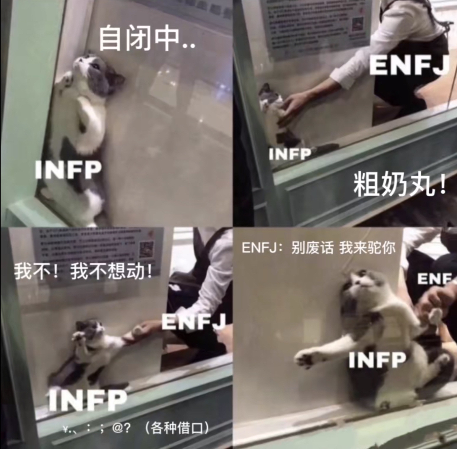 ENFJ INFP - 高清图片，堆糖，美图壁纸兴趣社区