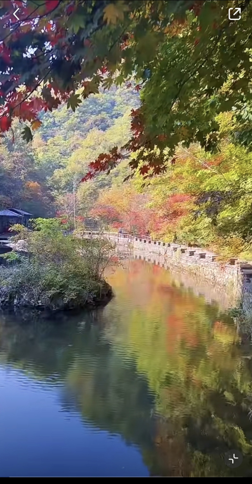 景