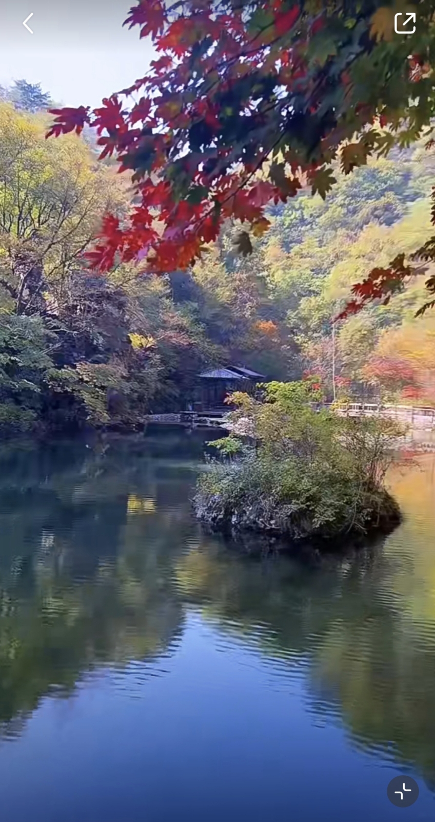 景