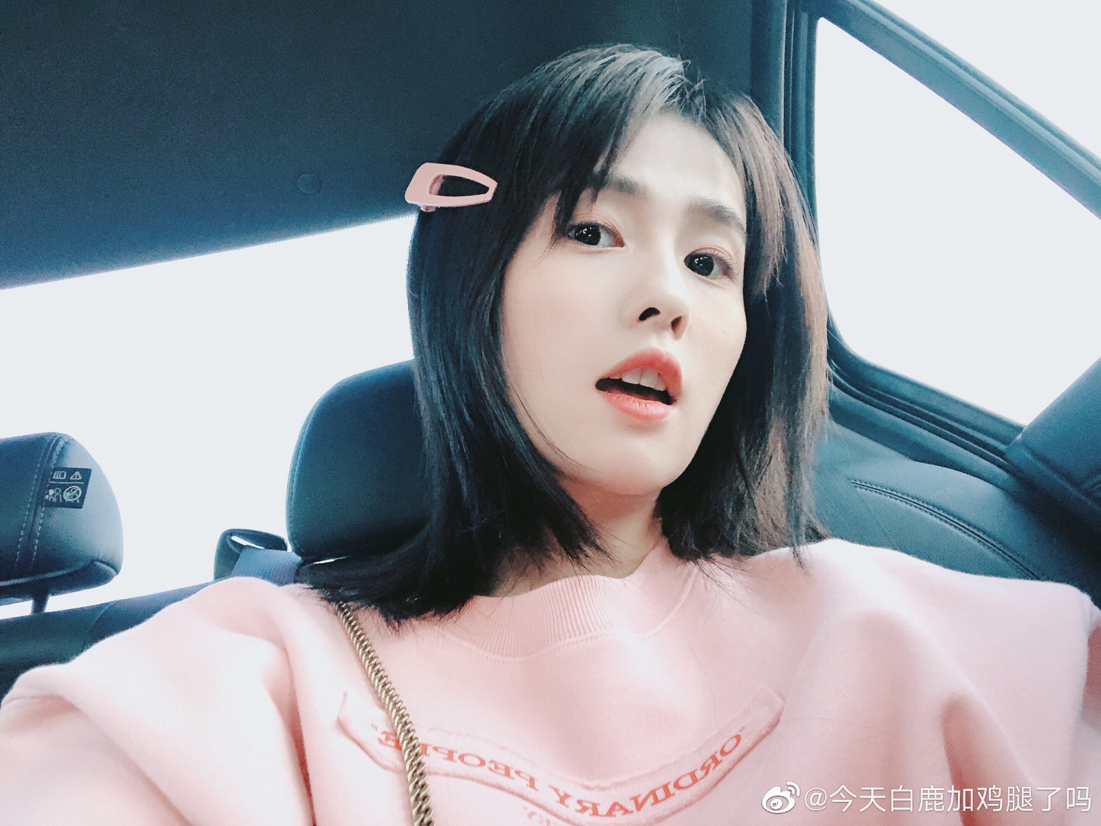 白鹿