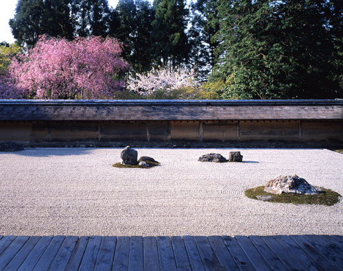 桜 龍安寺石庭 京都市右京区 堆糖 美图壁纸兴趣社区