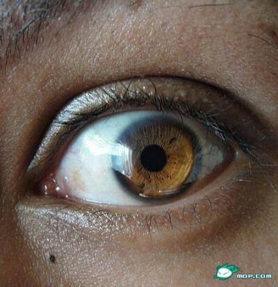人类的眼睛究竟有多少个颜色?