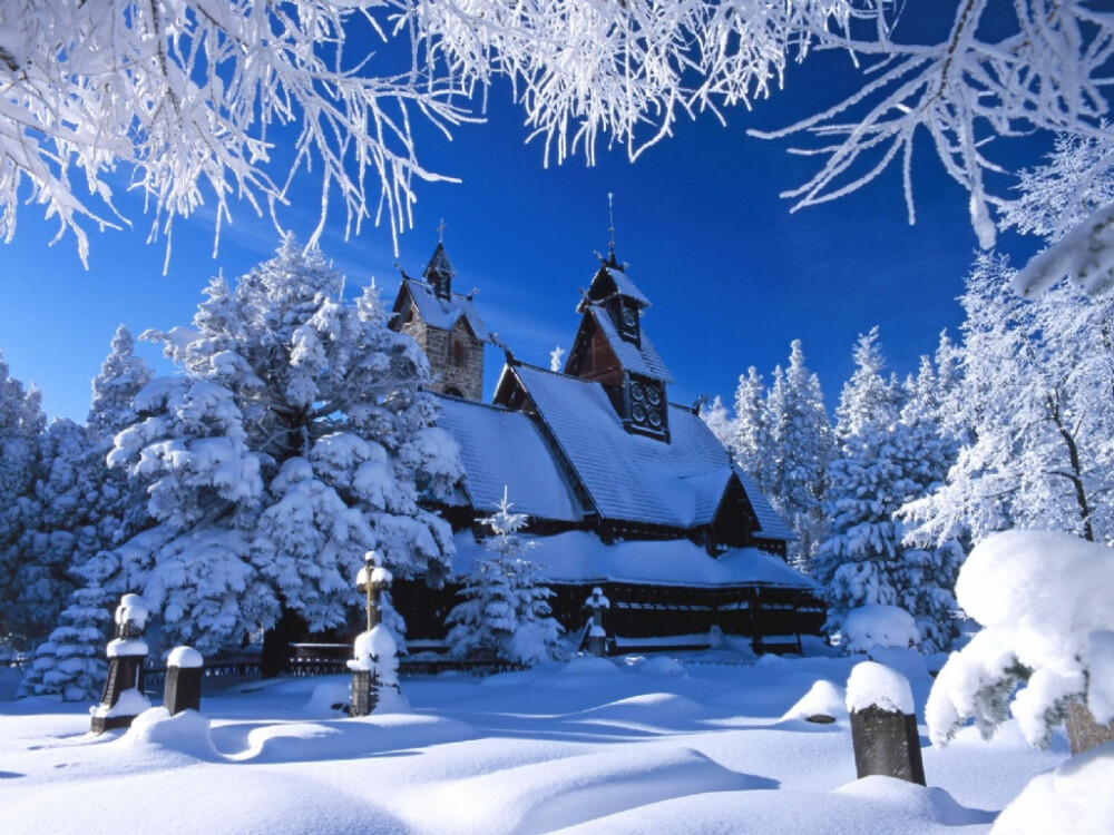 漂亮的雪景