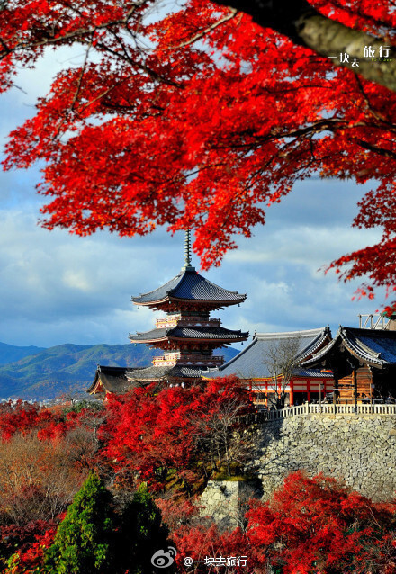 日本 京都 清水寺三重塔 堆糖 美图壁纸兴趣社区