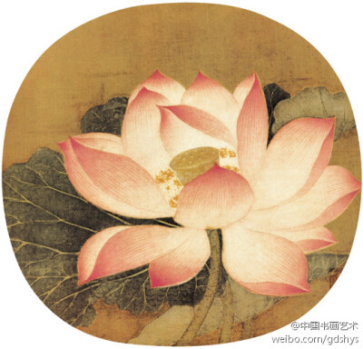 宋 佚名《出水芙蓉图《出水芙蓉图》一画虽小,画得却十分精致生