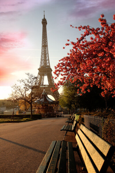 我的铁塔梦~埃菲尔铁塔(法语:la tour eiffel)