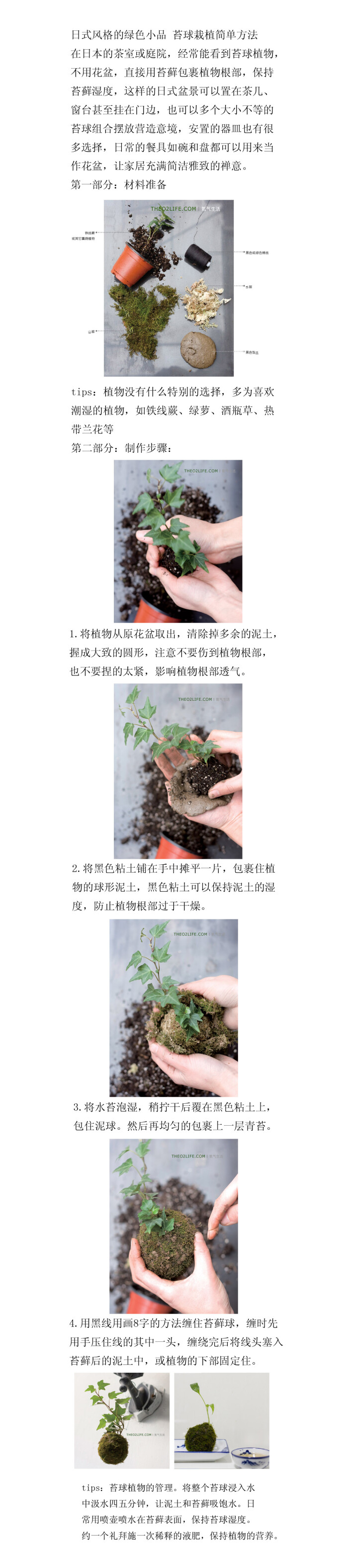 禅意苔球 堆糖 美图壁纸兴趣社区