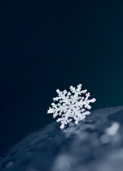 雪花 堆糖,美图壁纸兴趣社区