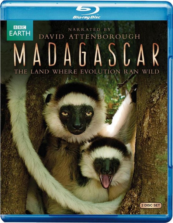 madagascar.feature.2011-bluray.1080p.ac3.x264-wzq1397 25.