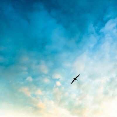 年少时,渴望以后能在这样的蓝天自由飞翔.