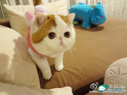 pg32uq动态调光功能PG电子游戏- PG电子平台- PG电子官方网站