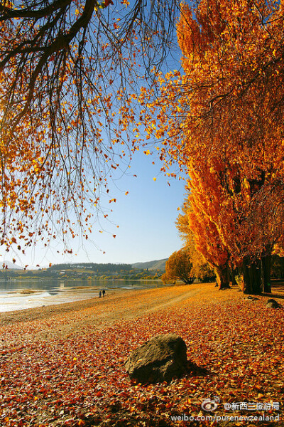 秋风渐起,凉意正浓,新西兰绚丽宁静的金秋季节悄悄来临;如果给你几天